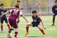Samuel #18
