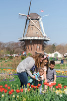 Holland Trip